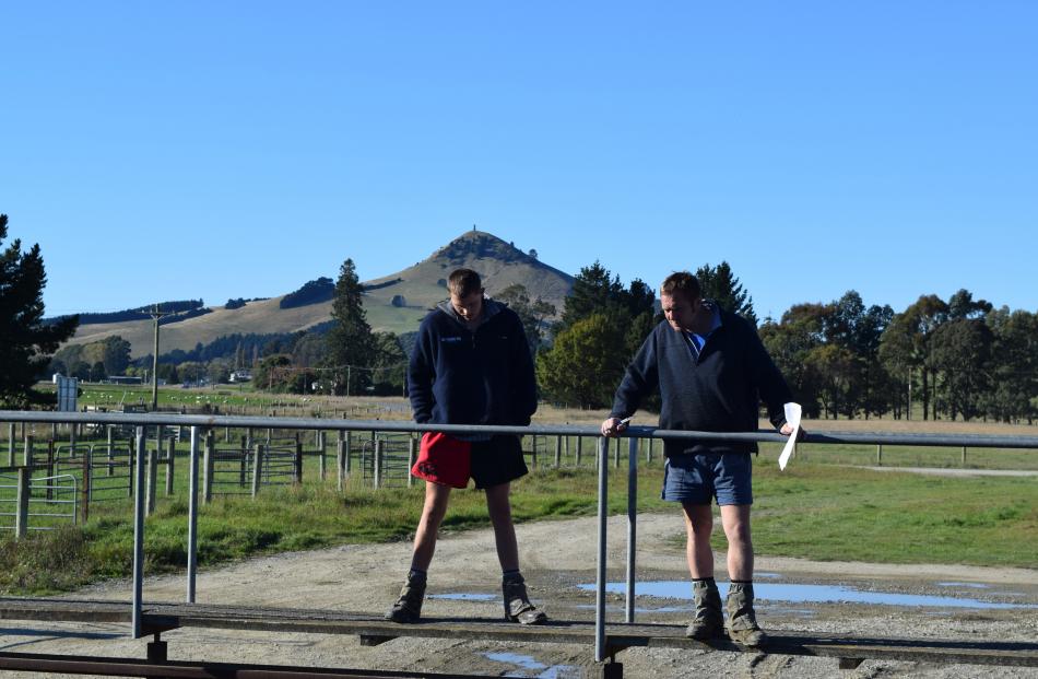 Looking at calves are James Read (left) and Hamish Fox, of Oamaru.