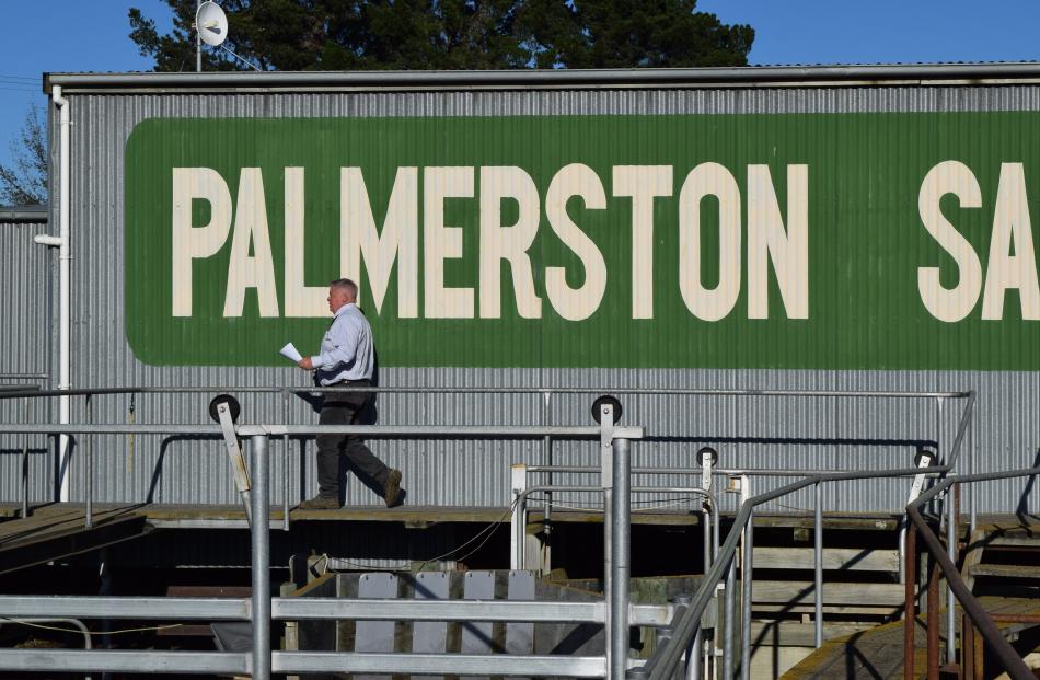 Walking to the auction room is Rural Livestock auctioneer Rob Fowler, of Taieri.