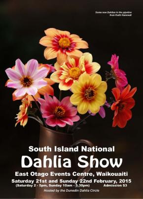 New dahlias bred by Dr Keith Hammett, of Auckland, were used for the show's advertising poster.