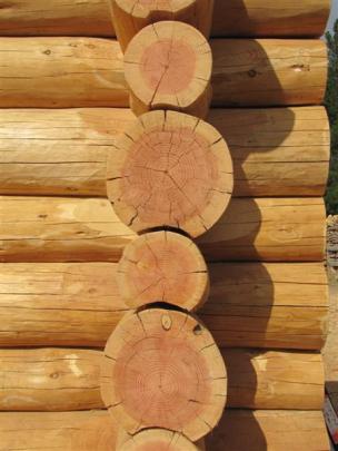 Joint details on the log house being built at Maori Pt, Tarras.