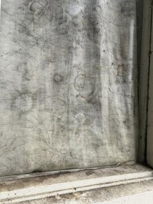 More mould damage.
