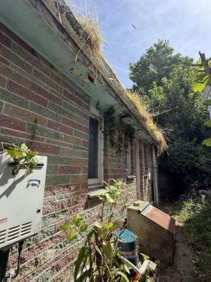 Damage caused to the exterior of a Queen St flat due to a lack of maintenance. PHOTOS: SUPPLIED