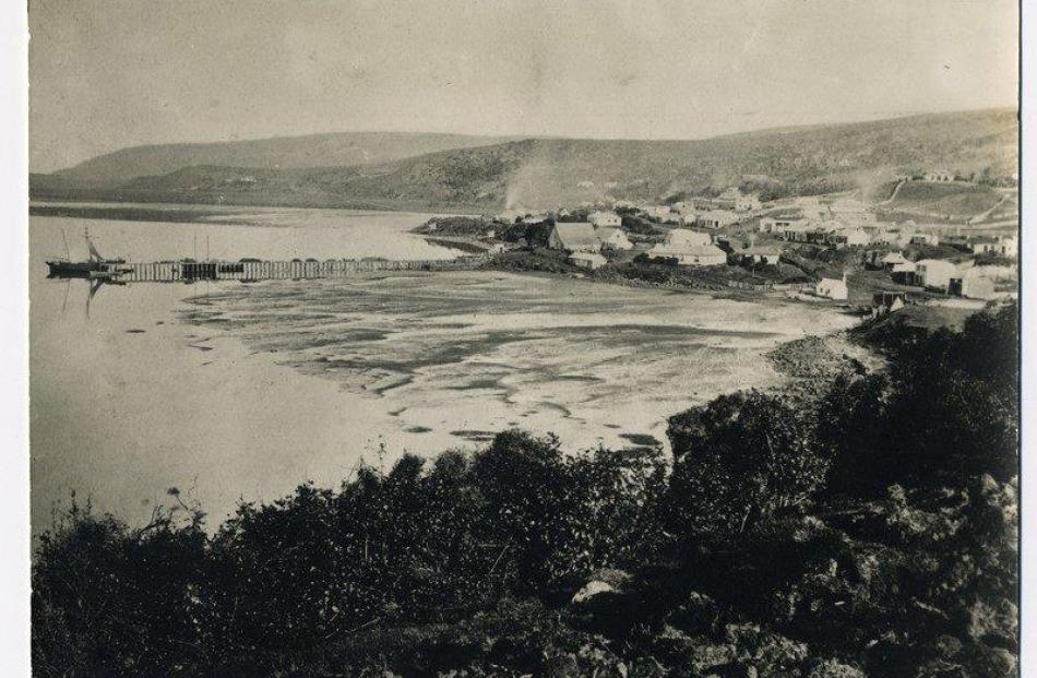 A photograph of the estuary as it met Otago Harbour.