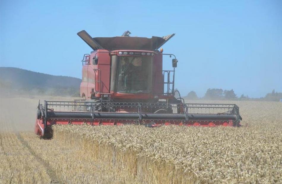 Harvesters work on stubble paddocks for next weekend's championships.