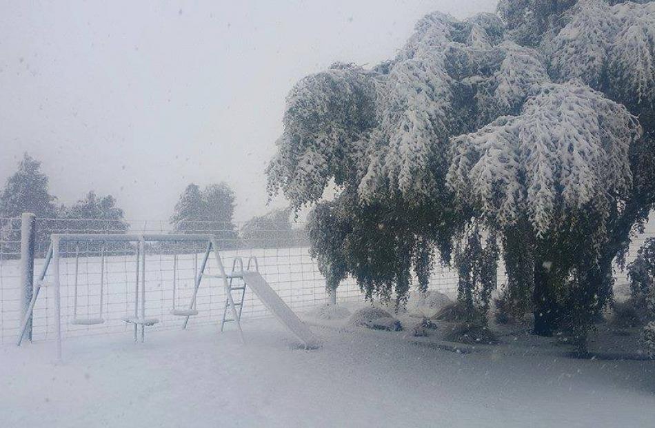 Half way between Te Anau and Mossburn. Photo by Sally Vörgers.