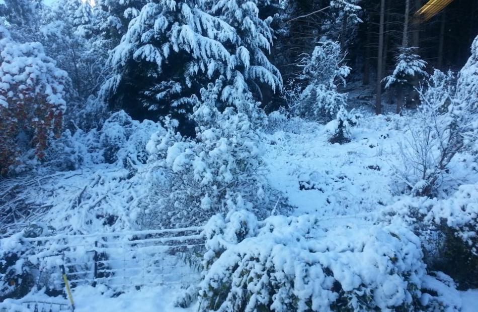 Naseby. Photo by Vanessa Murphy.