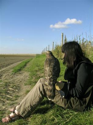 Helen Macdonald with Mabel, the goshawk. Photos supplied.