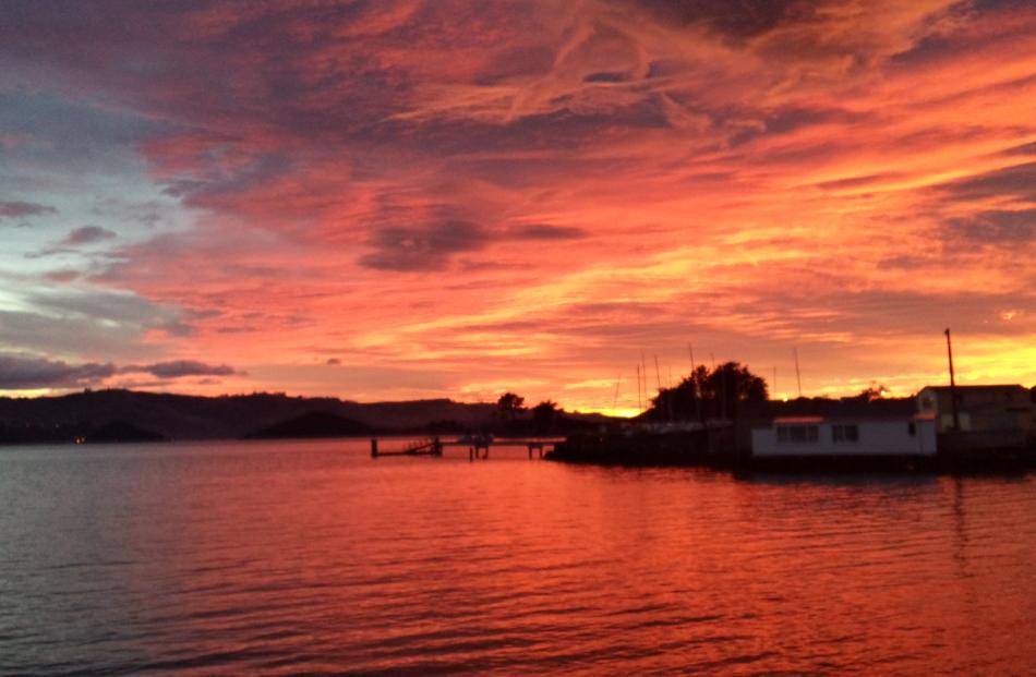 Broad Bay this morning. Photo by Julie Clark