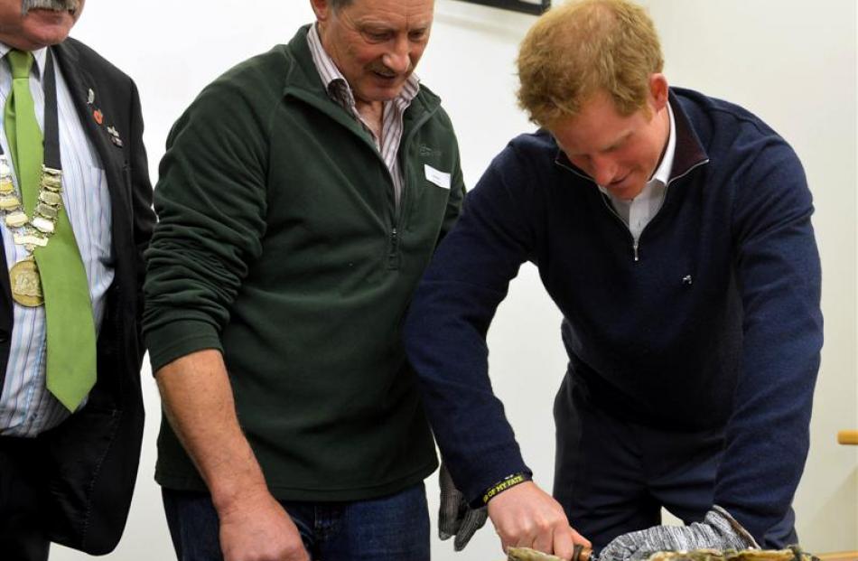 Prince Harry comments after opening a Bluff oyster, watched by oyster farmer Jim Maass Barrett....