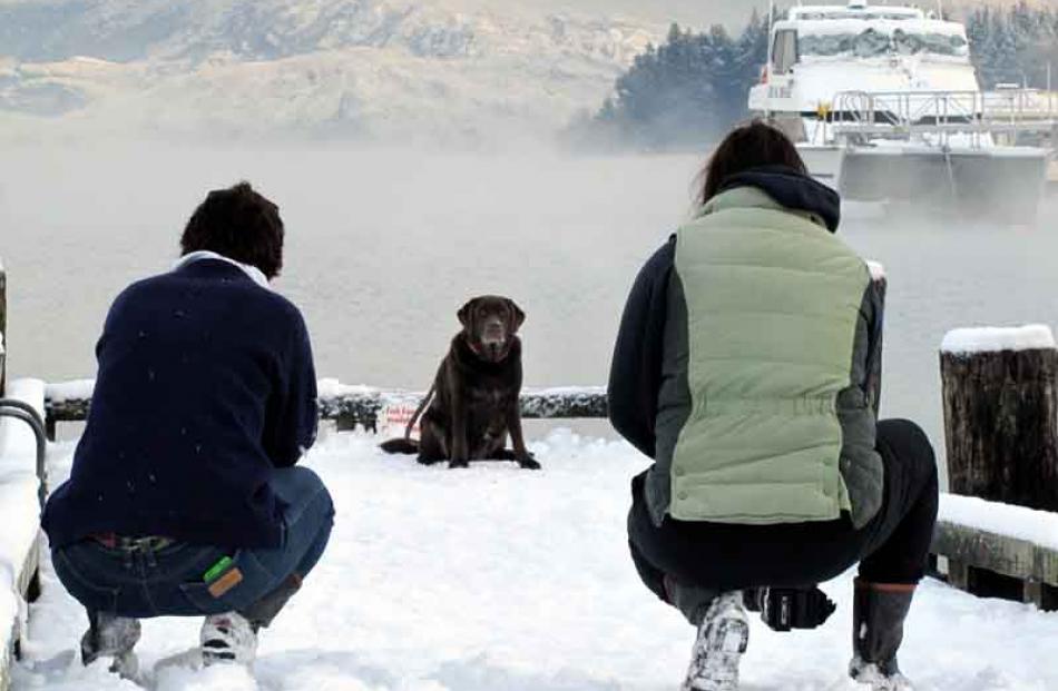 Eight year old labrador Millie poses for a photo on the Roys Bay jetty, Lake Hawea. On left is Fe...