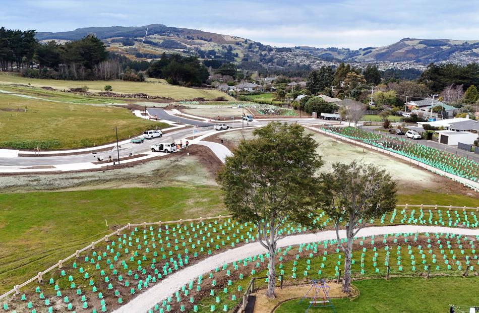 PHOTO: Over 4000 native plants of more than 50 different species have been planted.