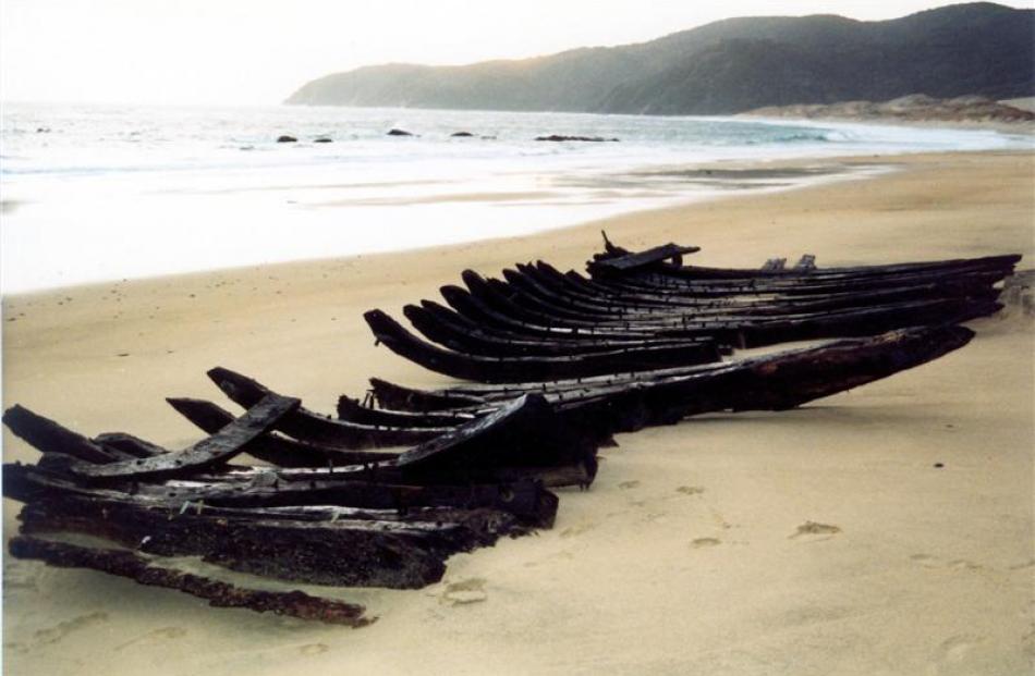 Structural futtock timbers from the wreck at Smoky Beach, Stewart Island, lying exposed on the...