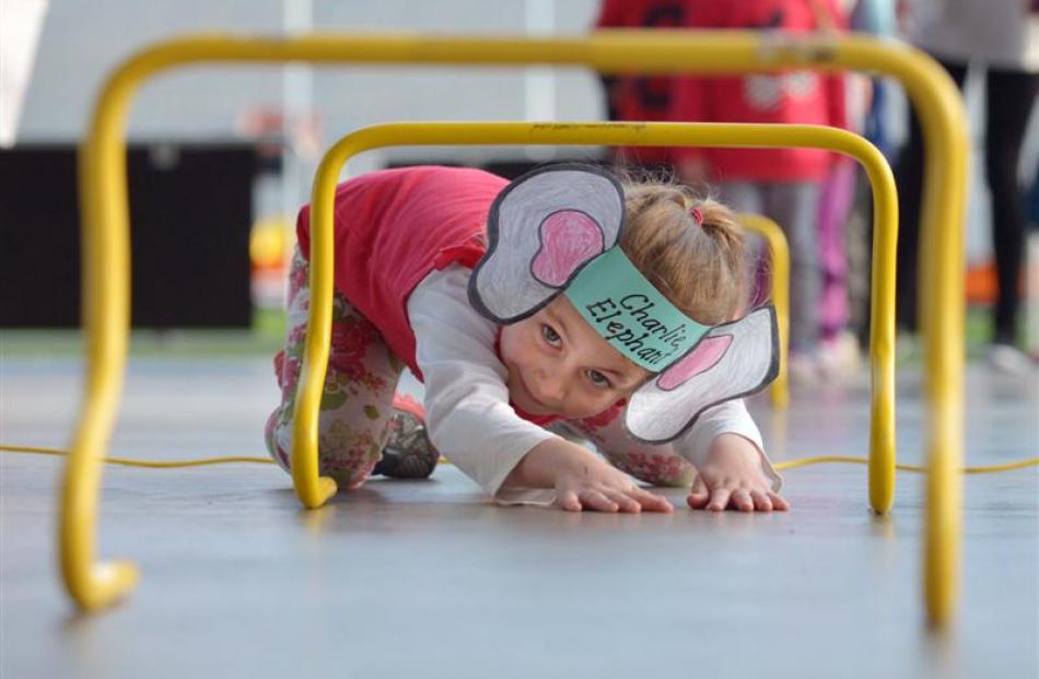 Wakari School pupil Charlie Hunsche (5) slides under a hurdle at a safari-themed fundamental...