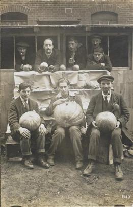 Men from the Ruhleben Horticultural Society with pumpkins and gourds in 1917.