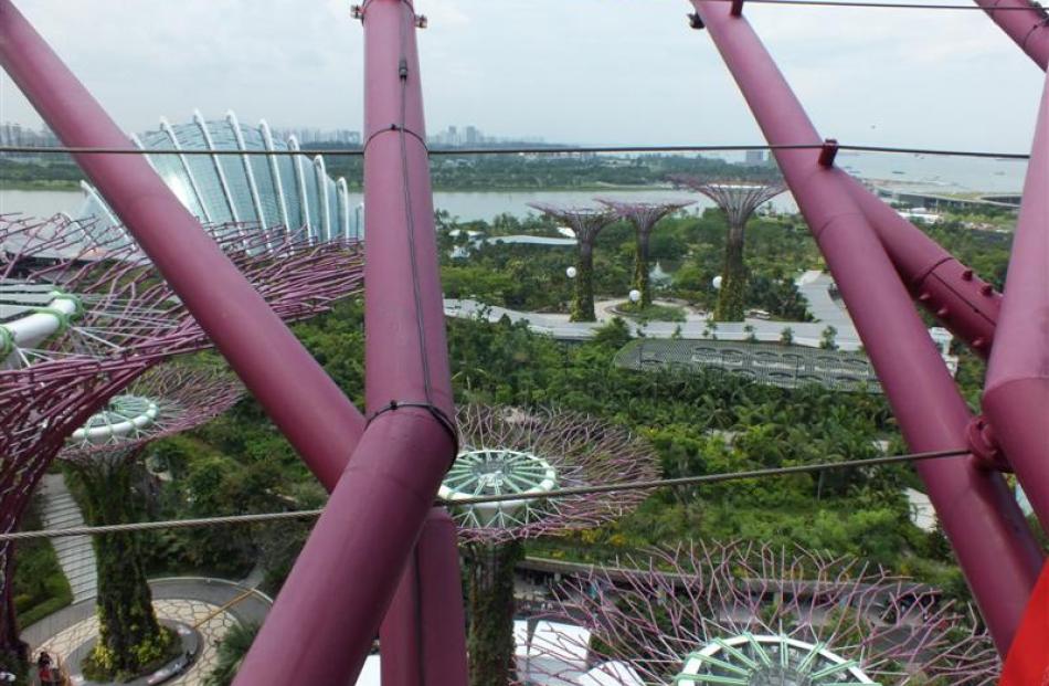 Tree-like towers and a shell-shaped greenhouse at the Gardens by the Bay.