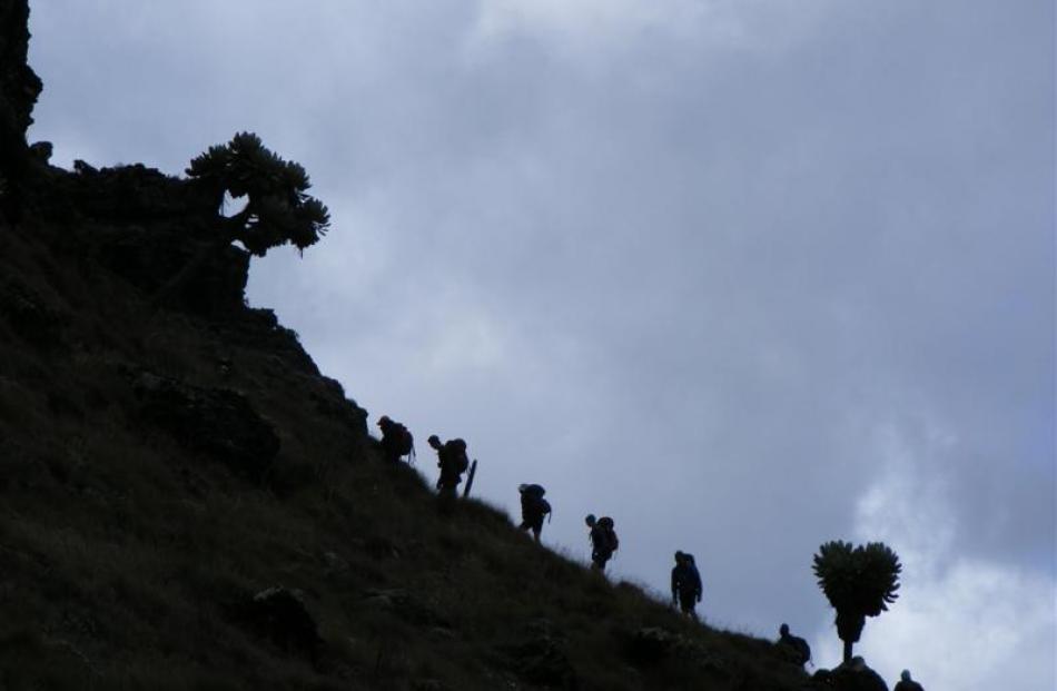 Taieri College pupils head skywards during a five-day trek up  4001m Mt Oldonyo Satima.