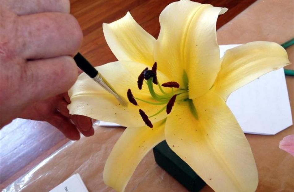 Dusting off pollen helped this lily floret achieve a first prize.