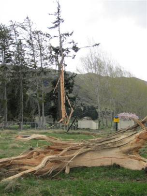A large chunk of wood lies several metres away from the tree struck by lightning on the outskirts...