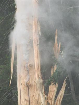 The tree  releases fumes after the strike.