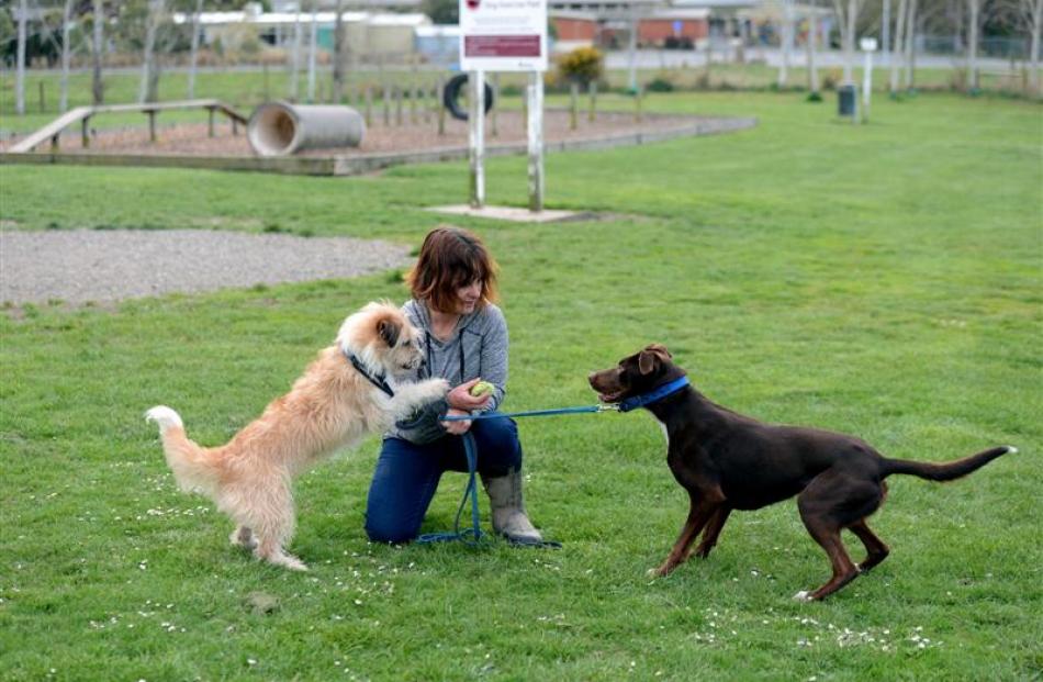 Joy Hawley with her dogs Taco (left) and Missy at the East Taieri Dog Park.