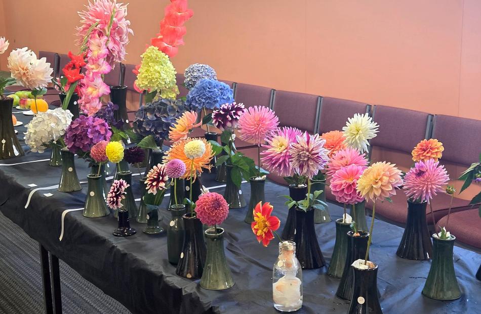 Tapanui’s special microclimate thrust a lush crop of dazzling blooms forward for this year’s...