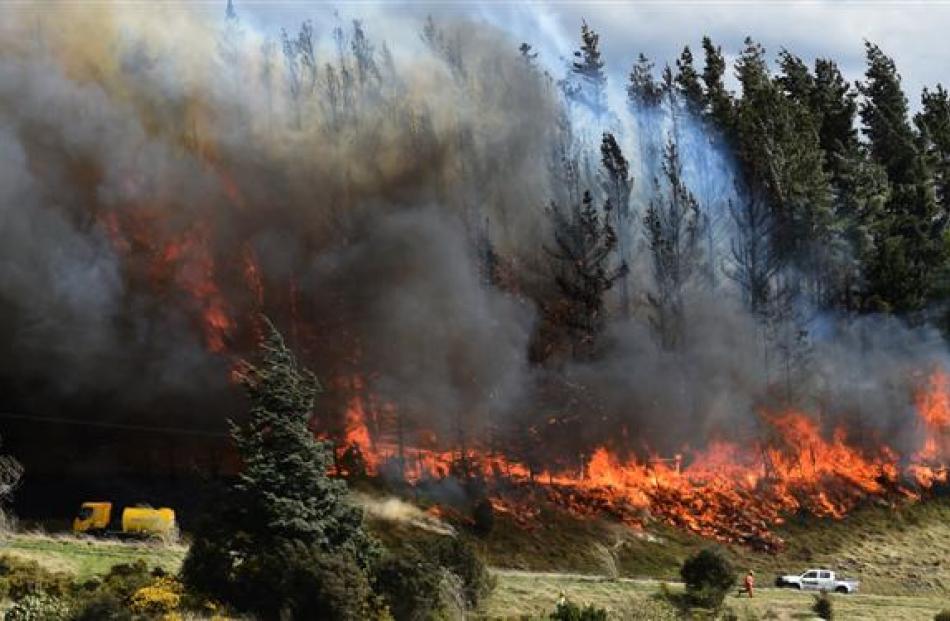 Flames leap into the air from trees on the lower flanks of Saddle Hill above the Southern...