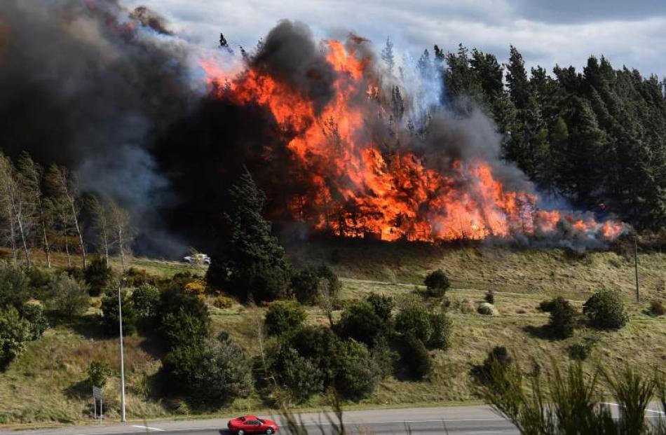 Fire crews battle an uncontained blaze on Saddle Hill. Photo by Peter McIntosh