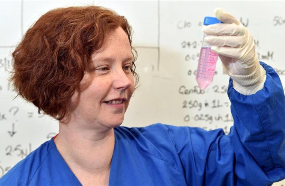 University of Otago biochemist Dr Stephanie Hughes and her laboratory team have been modifying...