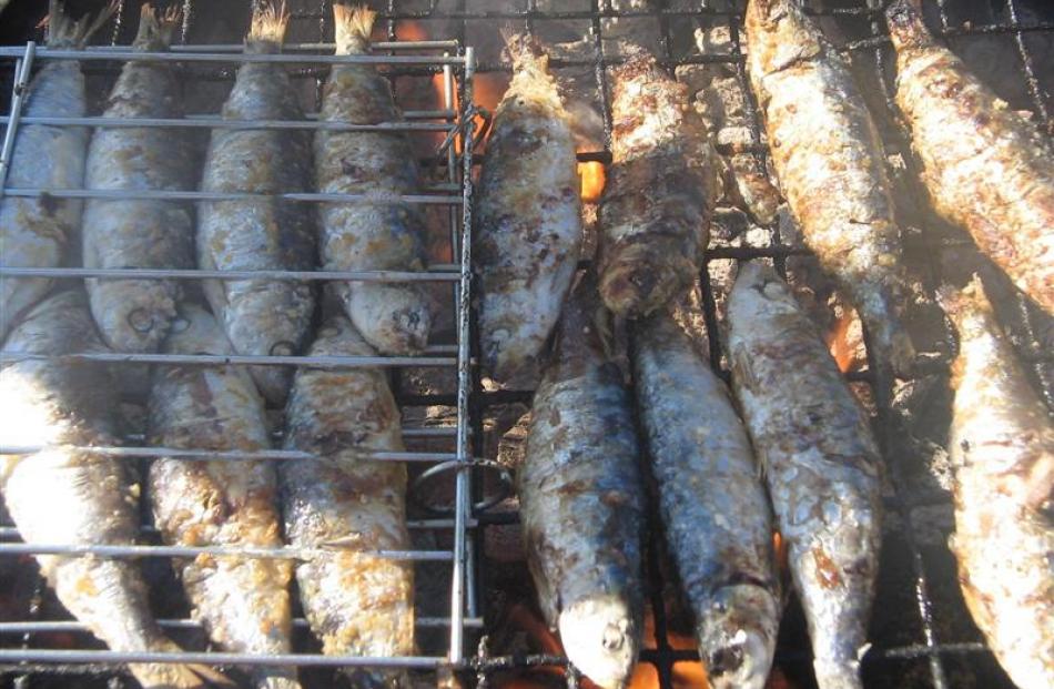 Fresh sardines are grilled over a charcoal barbecue.