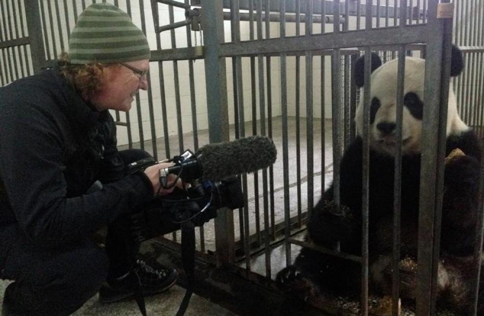 Up close and personal with pandas at Bifengxia Panda Base