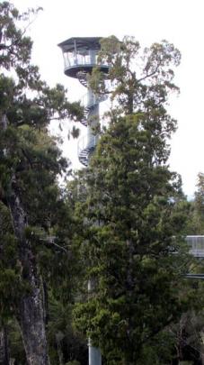 The Hokitika Tower, part of the $7.5 million West Coast Treetop Walk.