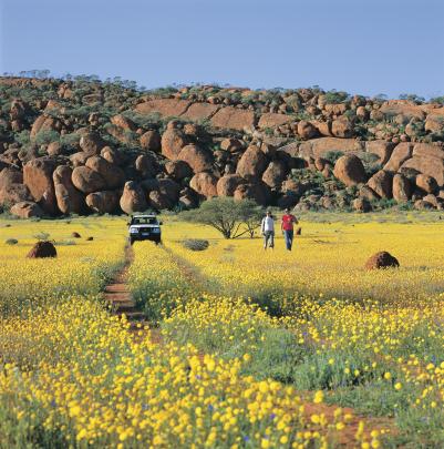 Visitors explore a wildflower field on Wooleen Station in the Golden Outback region. Photo:...