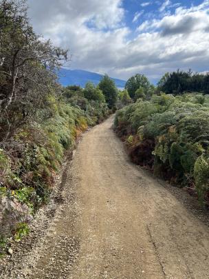 Part of the new trail Patience bay to Sinclair Road. Photo Supplied.
