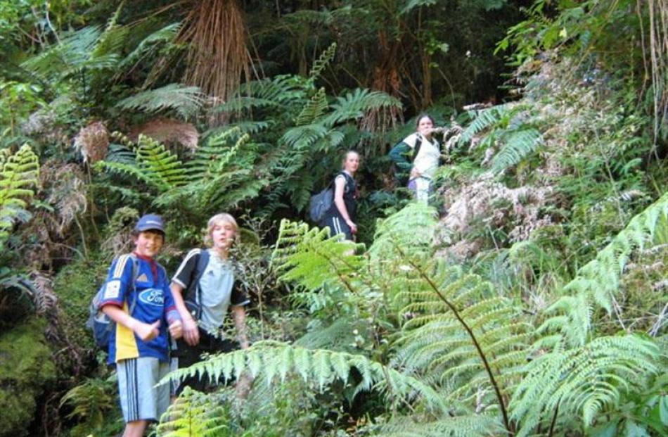 Walking the Old Doubtful Sound Track near Deep Cove during a Green Island School camp are (from...