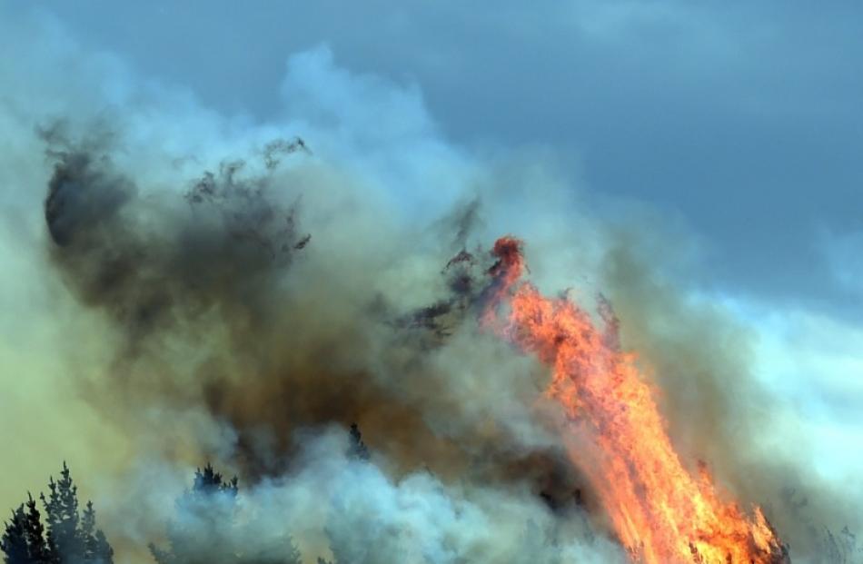 Fire on Saddle Hill in October. Photo: Otago Daily Times
