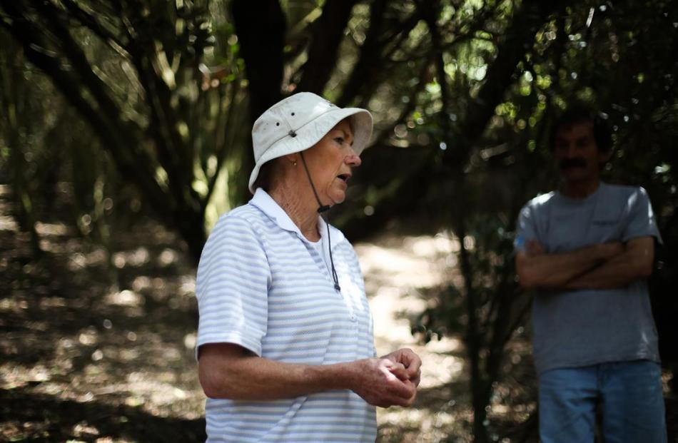 Rosemary Goldsworthy, manager of the Penguin Rescue Trust