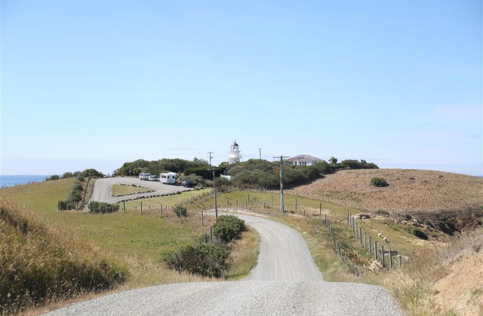 The road to the Katiki Point lighthouse at Moeraki.