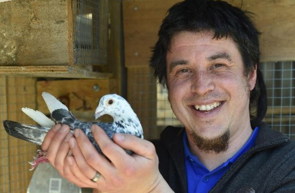 Ben Johnston poses for a picture with one of his beloved pigeons at his home in Abbotsford.