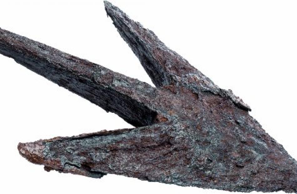 A harpoon head with shaft excavated from the site of the Oashore whaling station. Photo from...