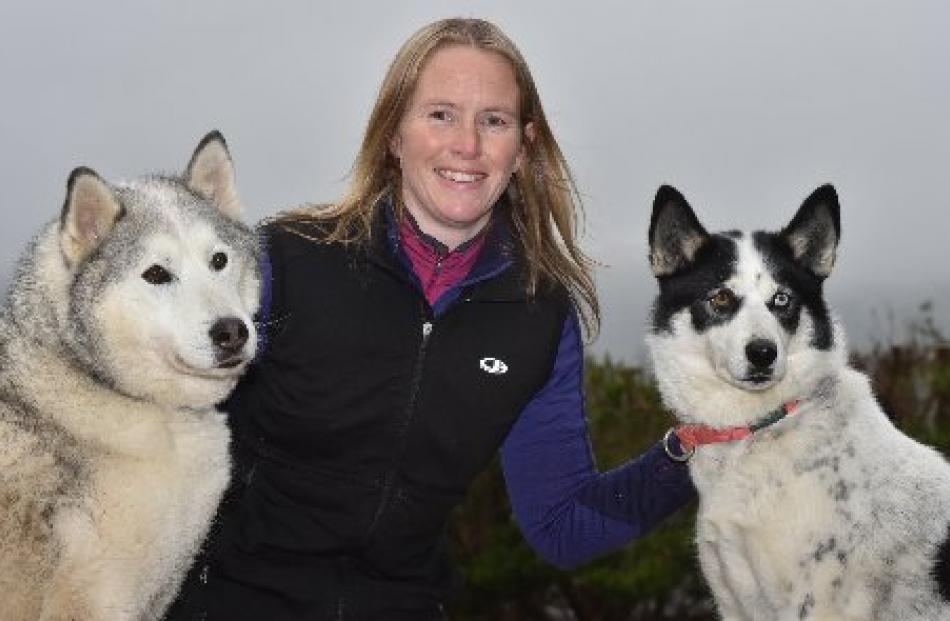 Sarah Campbell pats Indy (left) and Lutek, two of her seven Siberian huskies. Photo by Gregor...