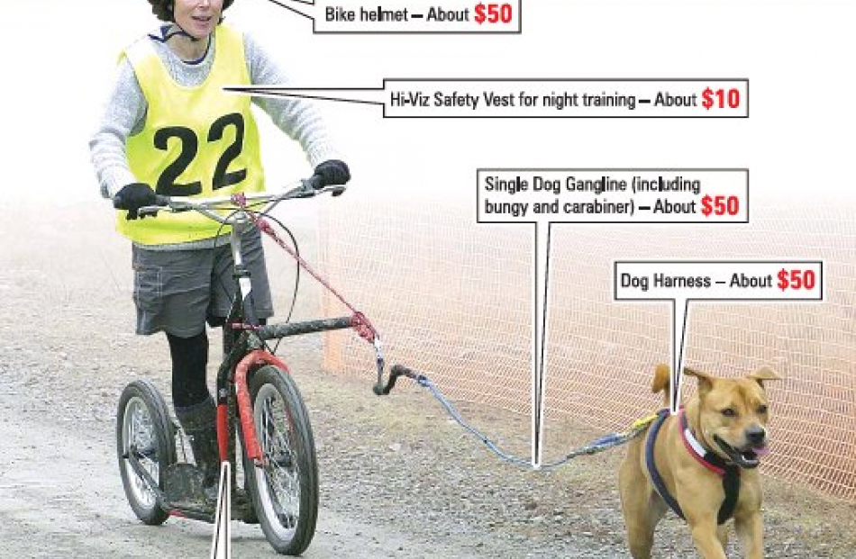 Southern Regions Sled Dog Club member Cathy Cox and her bull mastiff cross Bella cross the finish...