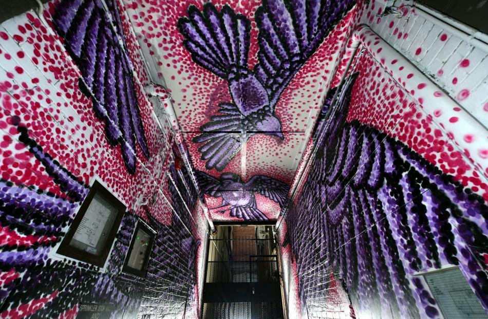 Artist: Jack Pillans. Where: Alleyway walls between Rialto Cinema and Visique Optometrist on...