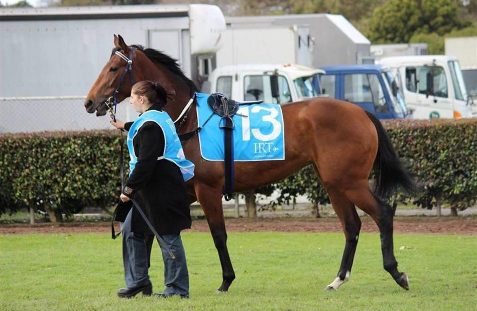 Racehorses Aotearowerand Sisterhood (pictured) have proved as rewarding emotionally as...