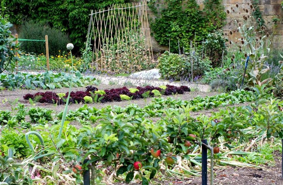 Almost 1ha in area, the walled kitchen garden is very productive.