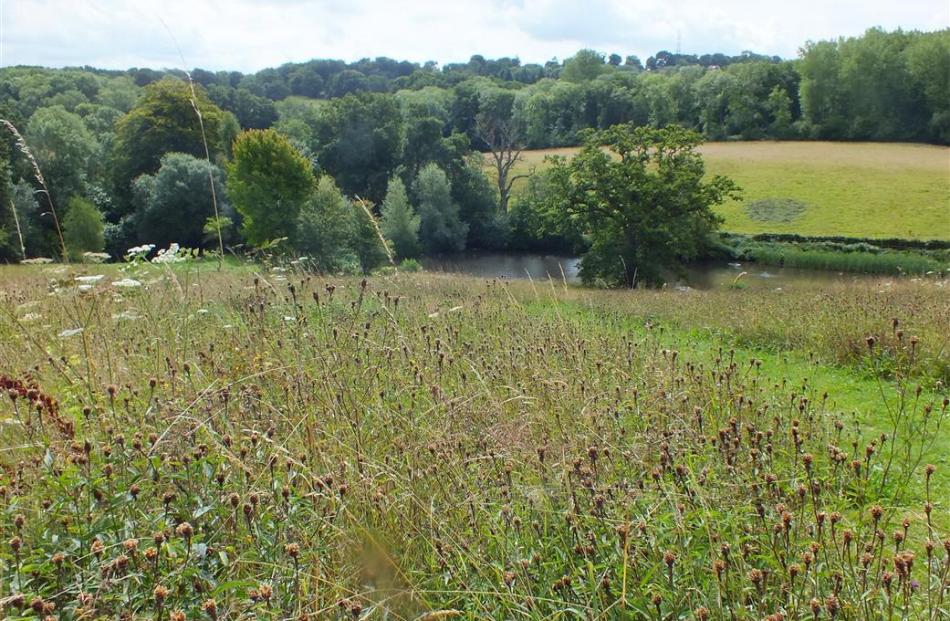 The wildflower meadow in late summer with Robinson’s lake below it.