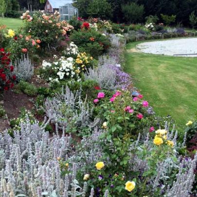 Bill Grant's garden.