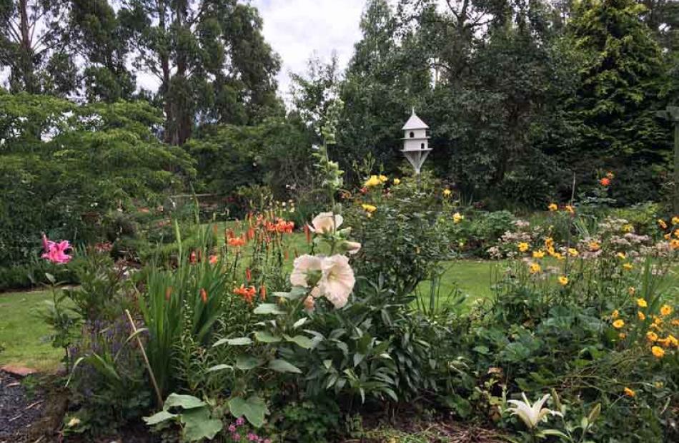 Robyn and Alan Reid's garden.