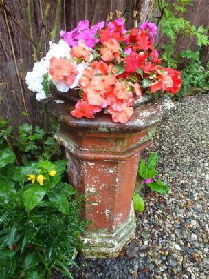Veronica was given this old chimney pot, which she plants with impatiens.