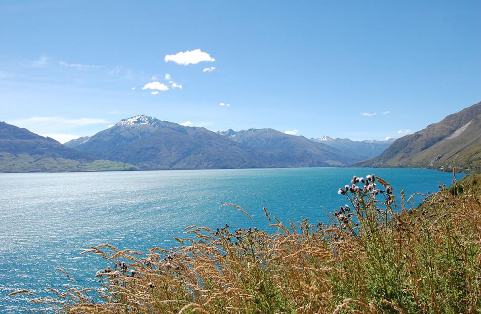 Fishermen first reported algae in Lake Wanaka in the early 2000s. Photo: ODT files