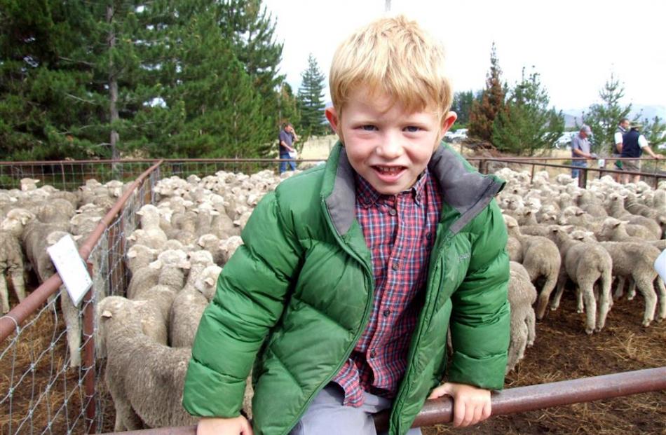 Ben Williamson (5), of Glenbrook Station, inspects the yarding.